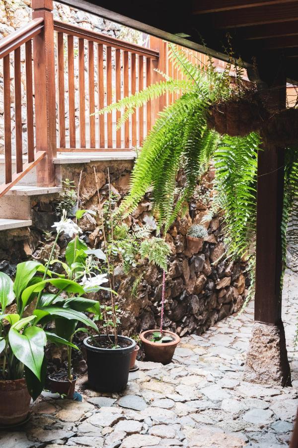 Casa Rural Los Madronos 바예에르모소 외부 사진